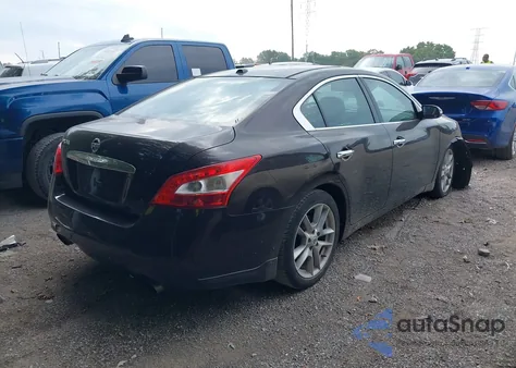 2010 Nissan Maxima 3.5 Sv z USA, uszkodzony, nr VIN 1N4AA5AP3AC838734